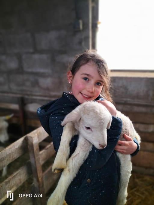 Gite La Dame Au Lit Gite A La Ferme Momignies 외부 사진