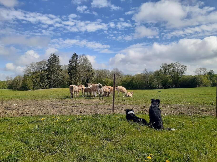 Gite La Dame Au Lit Gite A La Ferme Momignies 외부 사진